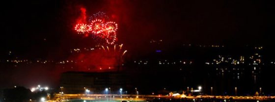 Concepción: Ecologistas piden no lanzar fuegos artificiales a un costado de la laguna Lo Galindo