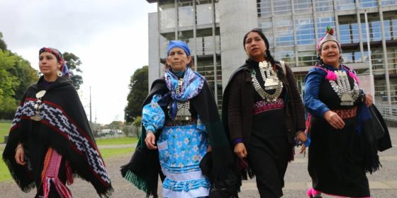 Defensor público por nuevo juicio en caso Luchsinger Mackay: «La conclusión va a ser la misma, la inocencia de la machi Francisca Linconao»