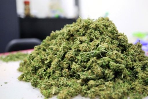 Venta de marihuana en Uruguay reduce en un 18% el narcotráfico en el país