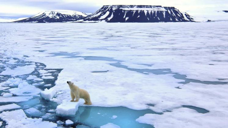 Informe anual confirma dramáticos y acelerados cambios ambientales en el Ártico