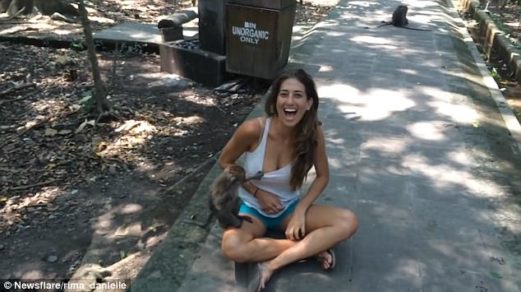 Clip | Monito atrevido se enamora de los pechos de una mujer que celebra: «Se sintió atraído por mí naturalmente»