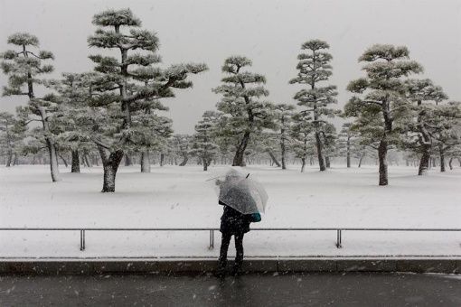 Cambio climático: Tokio vive su día más frío en medio siglo