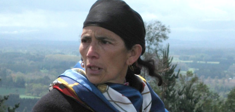 Aucan Huilcaman y viaje de machi Linconao a Bolivia: «Evo Morales está al tanto de lo que sucede con los mapuche»
