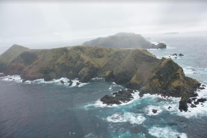 Científicos de Magallanes celebran la creación de nuevo parque marino en Cabo de Hornos