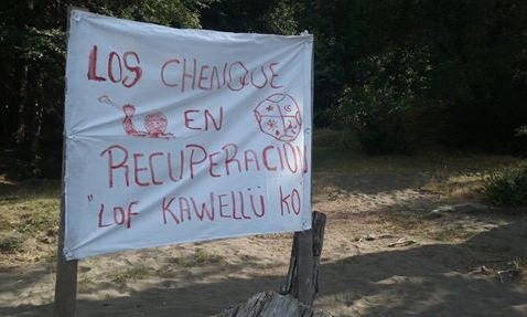 Comunidad pehuenche rechaza gestión de lonko en proceso de recuperación de tierras en Alto Biobío