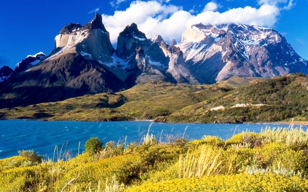Multa y prohibición de ingreso a turista sueco por uso negligente de cocinilla en Torres del Paine