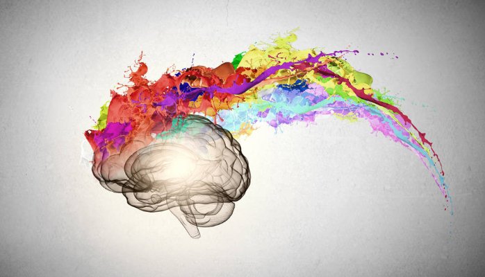 Las conexiones cerebrales del pensamiento creativo no se parecen a ninguna otra
