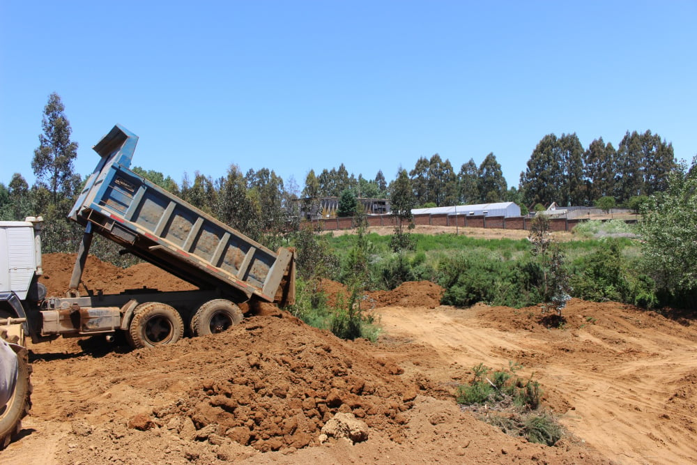 Valdivia: Comunidades y organizaciones denuncian relleno y destrucción del humedal Cotapos en Isla Teja