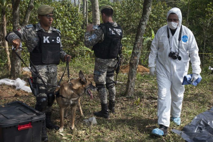 México: 342 fosas clandestinas han sido encontradas en Veracruz