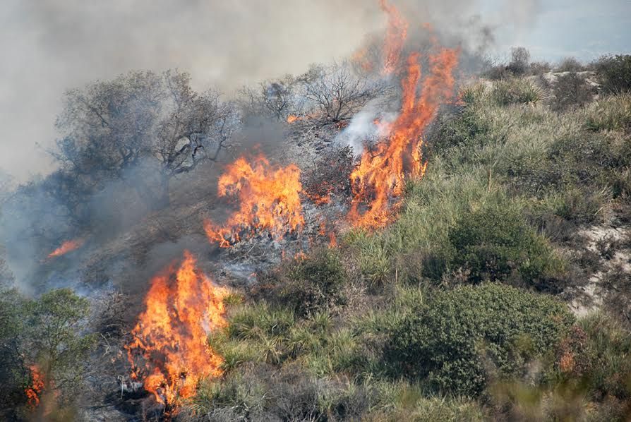 Valparaíso y Villa Alemana en alerta por incendios forestales