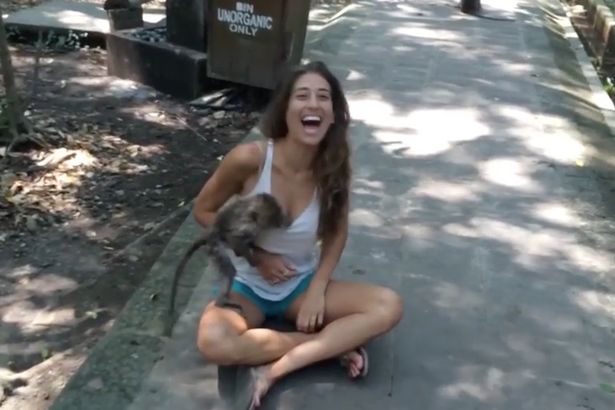 Mono travieso agarra senos de mujer y su esposo se pone un poco celoso (Video)