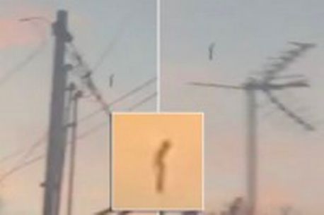 ¿Finalmente nos visitaron los extraterrestres? Extraordinarias fotos de humanoides se toman las redes (Fotos)