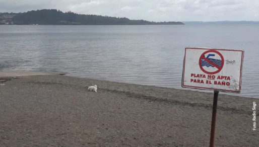 Contaminación en lago Llanquihue: Reacciones ante prohibición de bañarse en playa de Puerto Varas