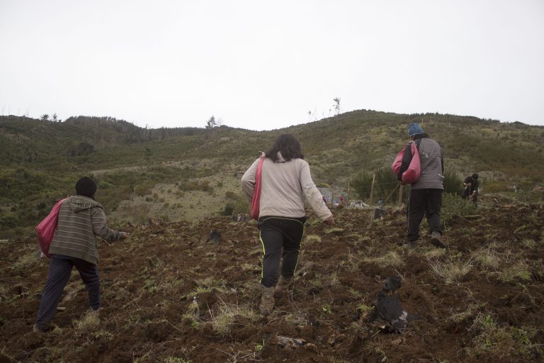 Impunidad policial en Wallmapu: los niños torturados de Huentelolen