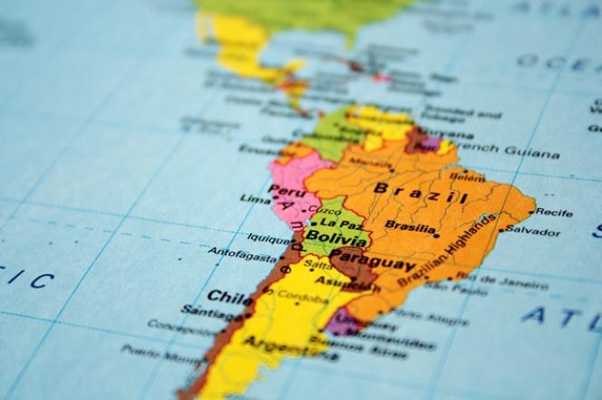 Sudamérica: advierten sobre nuevo brote de fiebre amarilla