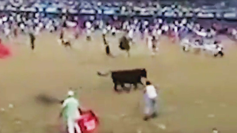 Colombia: hombre muere tras ser embestido por un toro (VIDEO)