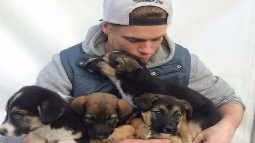 Esquiador olímpico salvó a 90 perros en cautiverio en Corea del Sur: «No son comida»