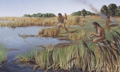 Estudio sugiere que el ‘Homo erectus’ desarrolló el lenguaje mucho antes que nuestra especie