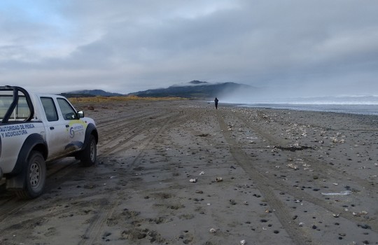 Alerta por marea roja se extiende en regiones de Aysén y Los Lagos