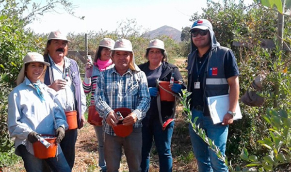 Maule: Fiscalizan efectiva protección contra radiación UV en los trabajadores del sector agrícola
