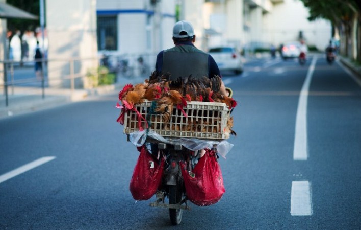 China informa el primer caso mundial de gripe aviar en un ser humano