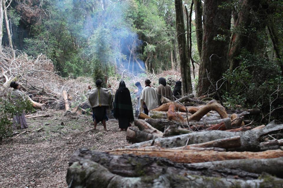 Coñaripe: La defensa de un humedal y el ejercicio espiritual y cultural mapuche