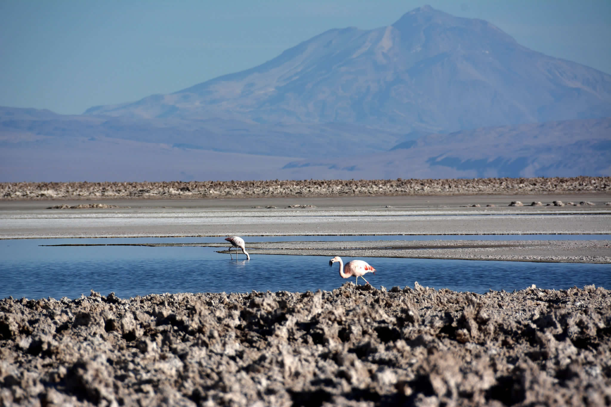 Pueblos Atacameños advierten: «Sin cuidado del salar no habrá ni turismo ni litio»