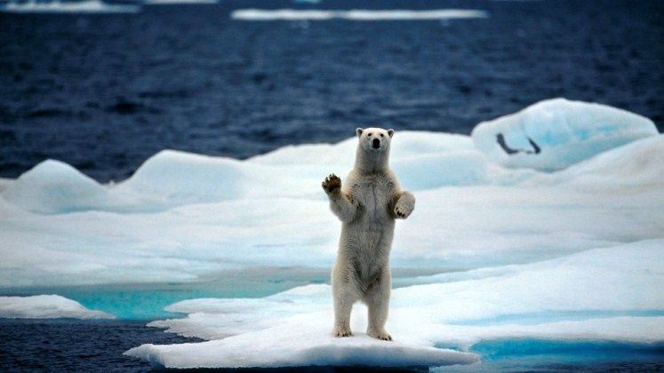 El Polo Norte está alcanzando las mayores temperaturas registradas en la historia