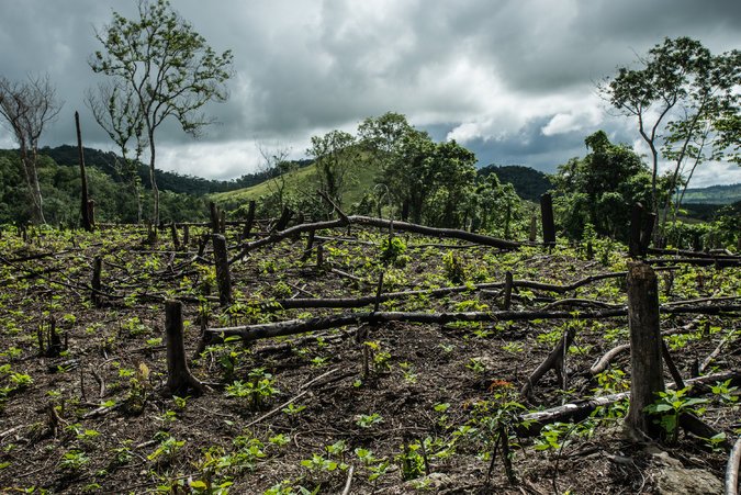 Aborígenes se forman para aprovechar los bosques en Guatemala