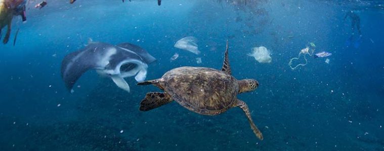 Plástico en los mares