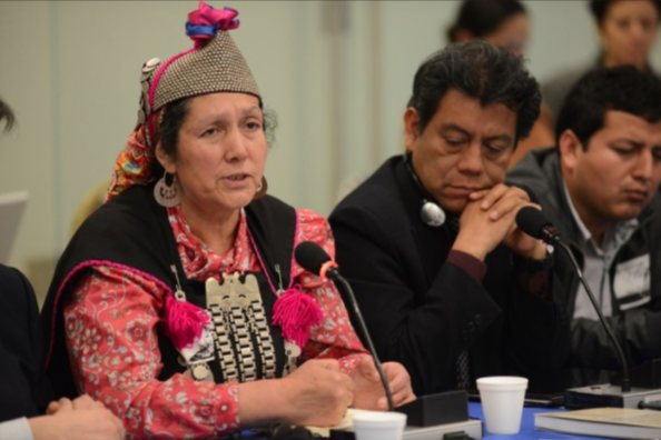 Persecución Política contra el pueblo Mapuche es denunciada en organismos internacionales