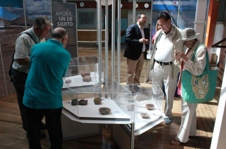 Valparaíso: Inauguran exposición “Fósiles: un mar petrificado en el desierto”