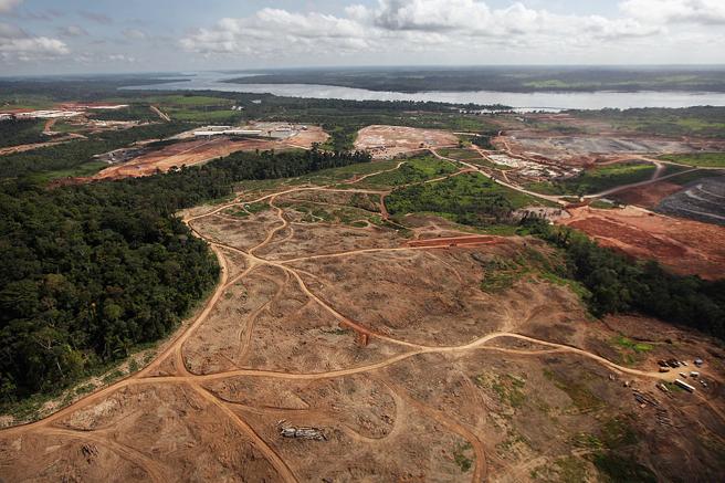 Cultivo de soja acaba con bosques en Latinoamérica