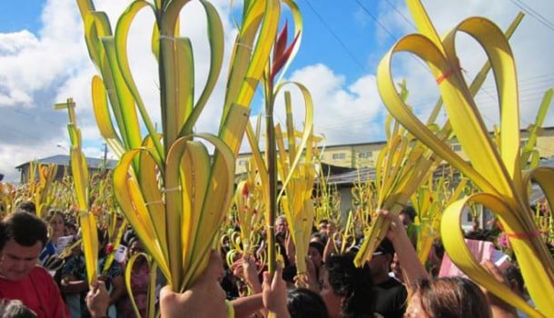 La Palma Bendita de Domingo de Ramos en Latinoamericana