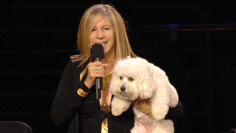 Insólito: Barbra Streisand clonó dos veces a su mascota