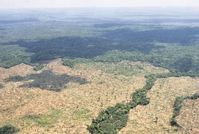 Aborígenes se forman para aprovechar los bosques en Guatemala