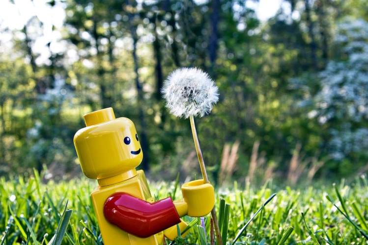 Construyendo un mejor futuro: LEGO lanzará sus primeros juguetes con bloques de material sustentable