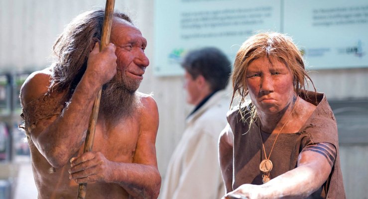 Los Neanderthal no solo eran inteligentes, también proveían cuidados de salud a sus pares