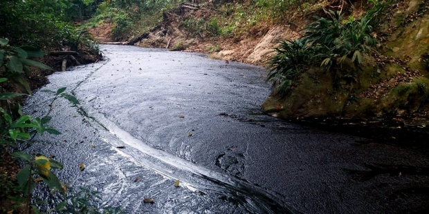 Crece la alerta ambiental en Colombia