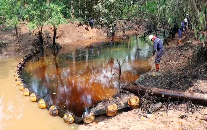 Miles de animales han muerto  por derrame petrolero en Colombia