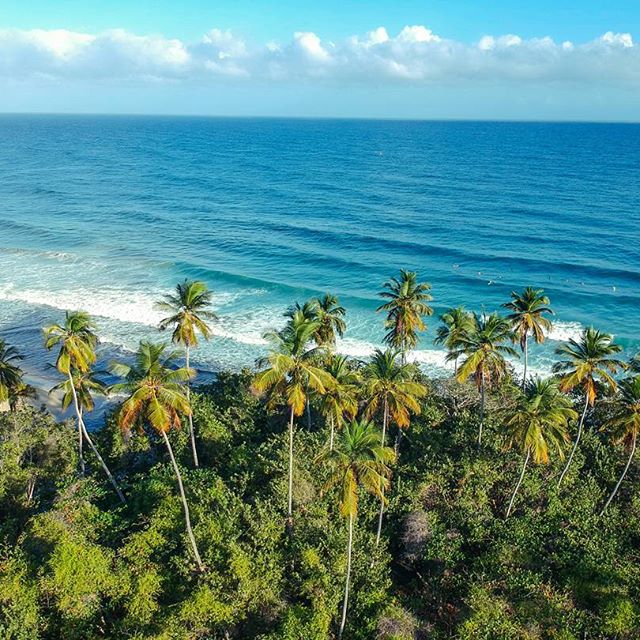 Venezuela playas y olas (fotos)