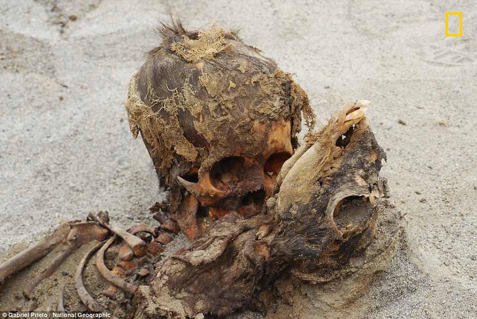 Arqueólogos investigan sitio de Perú donde más de 140 niños fueron asesinados ritualmente para extraerles el corazón (Video+Fotos)