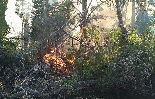 Gobierno de Nicaragua asegura que «son falsas» las imágenes del incendio en la Reserva Indio Maíz