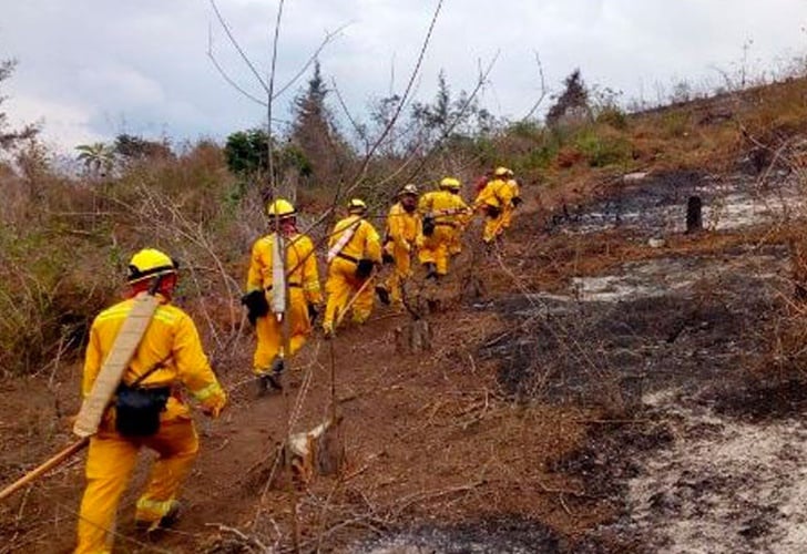 Incendios han devastado más de dos mil hectáreas de bosques en Guatemala