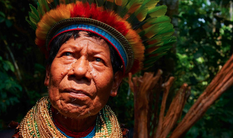 Pueblos indígenas amazónicos exigen sus derechos sobre 100 millones de hectáreas