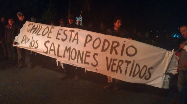 Organizaciones proponen “Ley Espejo Salmonera” para Chiloé por contaminación de la salmonicultura
