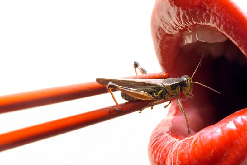 Comer insectos amplía opciones y los beneficios alimenticios
