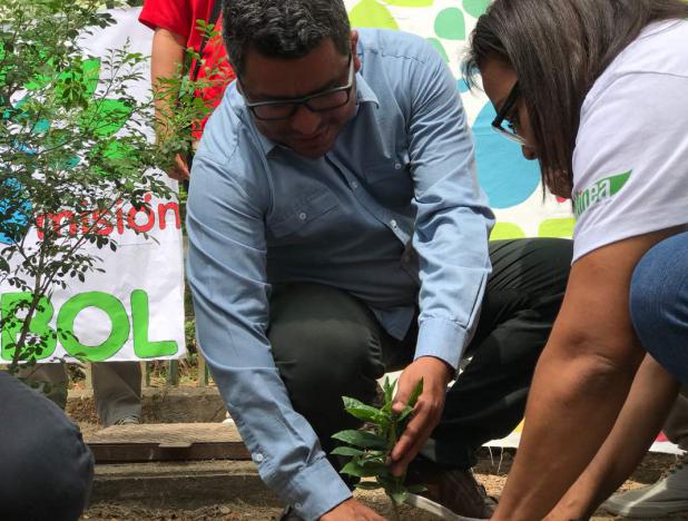 Comunidades venezolanas contarán con bosques frutales y policromáticos