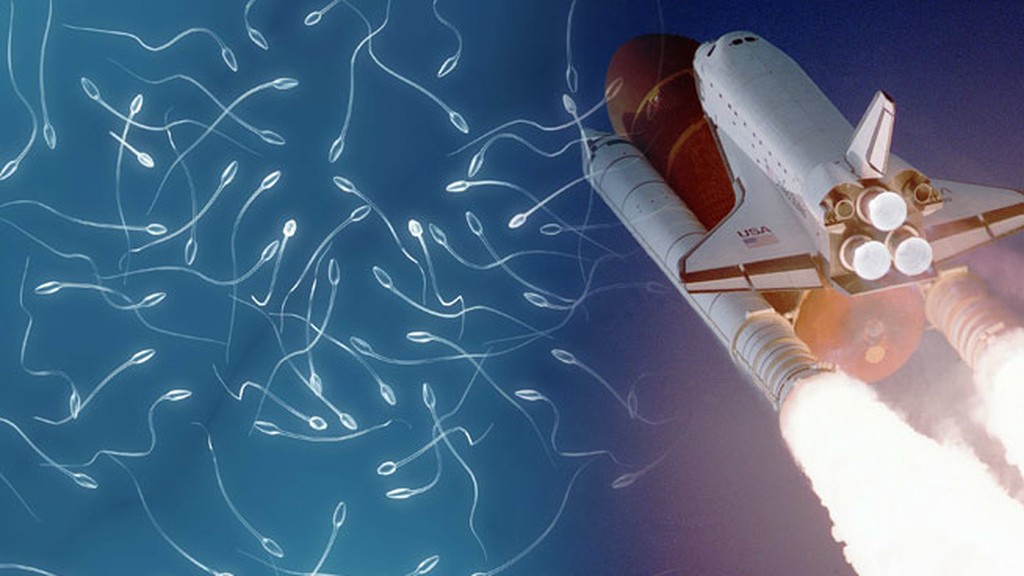 La NASA apuesta a la sobrevivencia y experimenta con esperma humano en el espacio