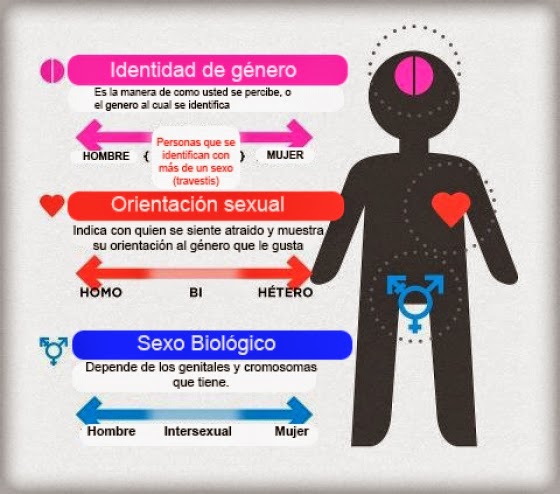 ¿Cuándo se determina la orientación sexual?